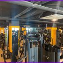 머슬핏 피트니스 이미지