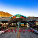삼부자목장 Daum카페
