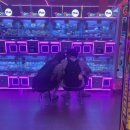 가우스토마토영수학원 | 조금은 느슨하게