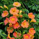 커플링모텔 이미지