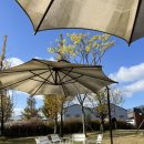 장성목장 | 통창 뷰 맛집 베이커리 맛집 광주 근교 대형카페 장성 오데온 카페