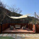 포레스트멍