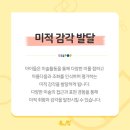 내가 그리는 미술세상 이미지