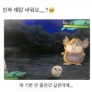 서울과학기술대학교 맞은편 버스정류장 | 포켓몬 시크릿 포레스트 평일 후기 &amp; 작은 꿀팁