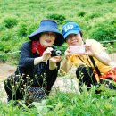 곰배령 주니네 Daum카페
