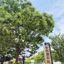 샘문화 | 부산가족뮤지컬 추천 | 빅픽처스테이지 신들의 축제, 아이와 함께한 동래문화회관 공연 후기💛