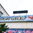 바다양푼이 동태탕 이미지