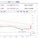 세림동물병원 - 청주시 상당구 산성로116번길 25 | 세림동물병원