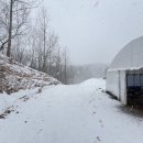 노다지농장 이미지