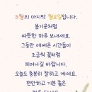 🌳3월30일 월요일 출석부🌳 이미지