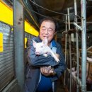 청학축산 이미지