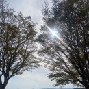 성흥산 화장실 이미지