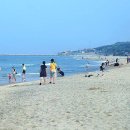 대전해수욕장3 이미지