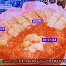 스타25시 | 톡파원25시 현무 &amp; 숙의 도쿄 랜선 여행에서 다시...시장) 우니동 맛집 우니토라, 스타워즈 셀레브레이션