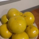 스테이단감 이미지