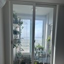 여우호프 - 충주시 연하중앙길 38 | 강화가든플라워 강화희귀식물원 식쇼 후기🌿 결국 또 데려온 식물들 (파스타짜넘, 에스메랄던스, 마요이…)