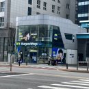 향교로 2 | 발산 버거 맛집 [움버거앤윙스 양천향교점] 송강 PICK 치킨버거 후기