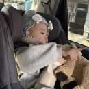 비욘드코리아 | SUV 모하비 카시트 고민 끝 | 비세이프 비욘드360B 회전형 카시트 선택 이유