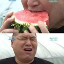 최형규 | 08월 뜨거운 월간 리뷰