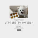 브로콜리 펫푸드 이미지