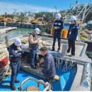 한국해양교통안전공단 이미지