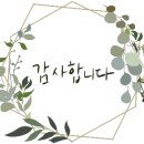 디자인 푸름 이미지