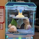 왕오락실 이미지