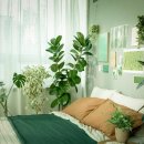 나의 작은 정원-홈 가드닝 이미지