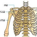 파코메리뷰티스테이 - 서초구 효령로40길 25 | 파코메리뷰티스테이