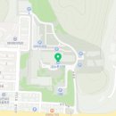 양귀비염색방