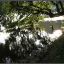 남산반곡지 이미지