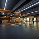 성남 탑 복싱 이미지