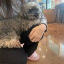 모찌네호캉스 이미지