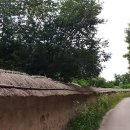 녹색마을길 이미지