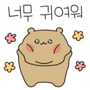 광주 고양이분양 브로스펫 이미지