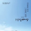 오케이다방 - 42248 | 오케이다방