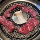 송도갈매기 이미지