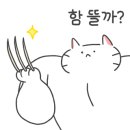 청석골칡냉면 이미지