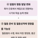 무분별한 항생제 사용에 대해 이미지