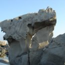 진고마을 이미지