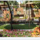 사람이 꽃보다 아름 이미지