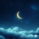 Under the night sky 이미지