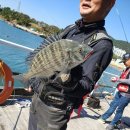 여수낚시터 이미지