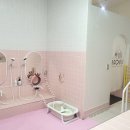 라온아이 이미지