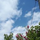 석가가든 이미지