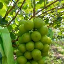 지리산하늘펜션 이미지