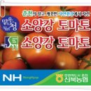 맛있는 토마토를 회원님들께~ 저렴하고 맛있고,안전한~ 신북농협정품인증 토마토 팔아요^^ 이미지
