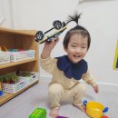 4월 13일 봄꽃 사진 상자로 놀이해요 🌷🪻 이미지