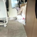 나니살롱 이미지