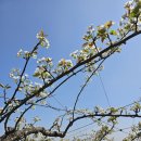 동민목장 이미지